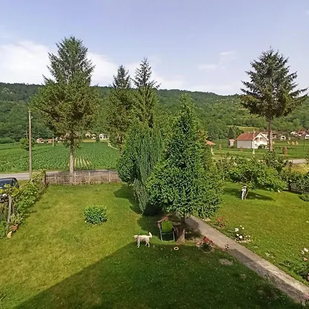 Drinska Lepota Lonjin