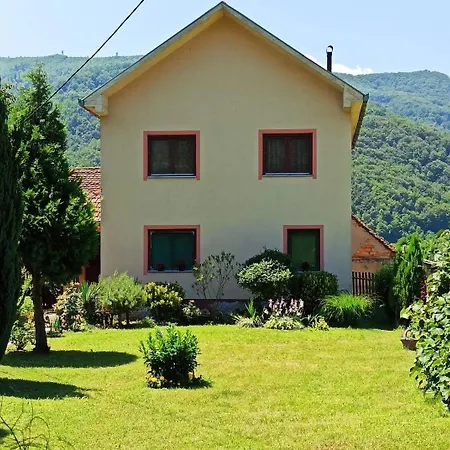 Drinska Lepota Holiday home Lonjin