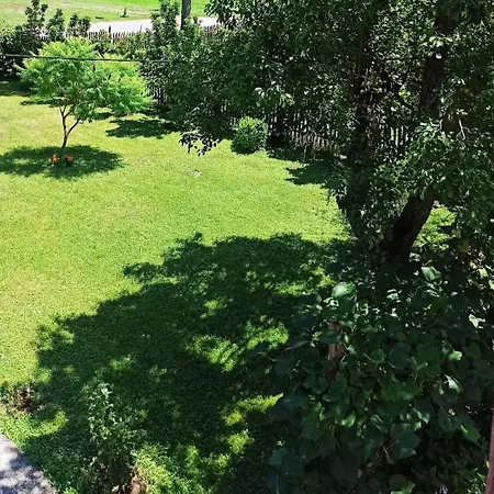 Dom wakacyjny Drinska Lepota